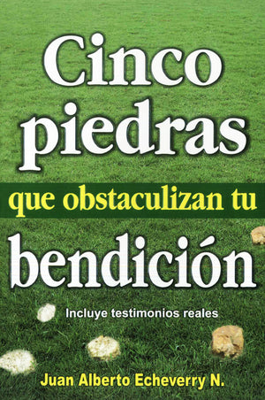 Libro: Cinco Piedras que obstaculizan tu bendición