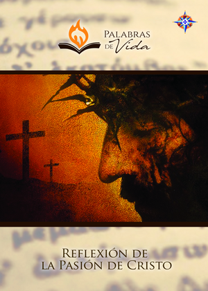 Estudio Bíblico: Reflexión de la Pasión de Cristo/14 dvd´s